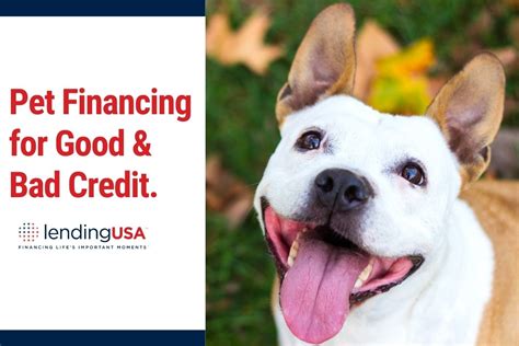 pet financing bad credit